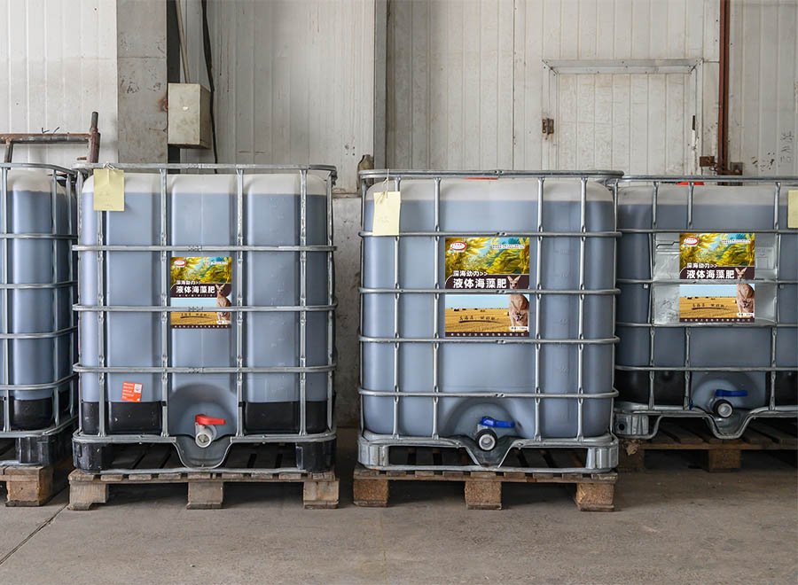 Liquid Seaweed Fertilizer-176